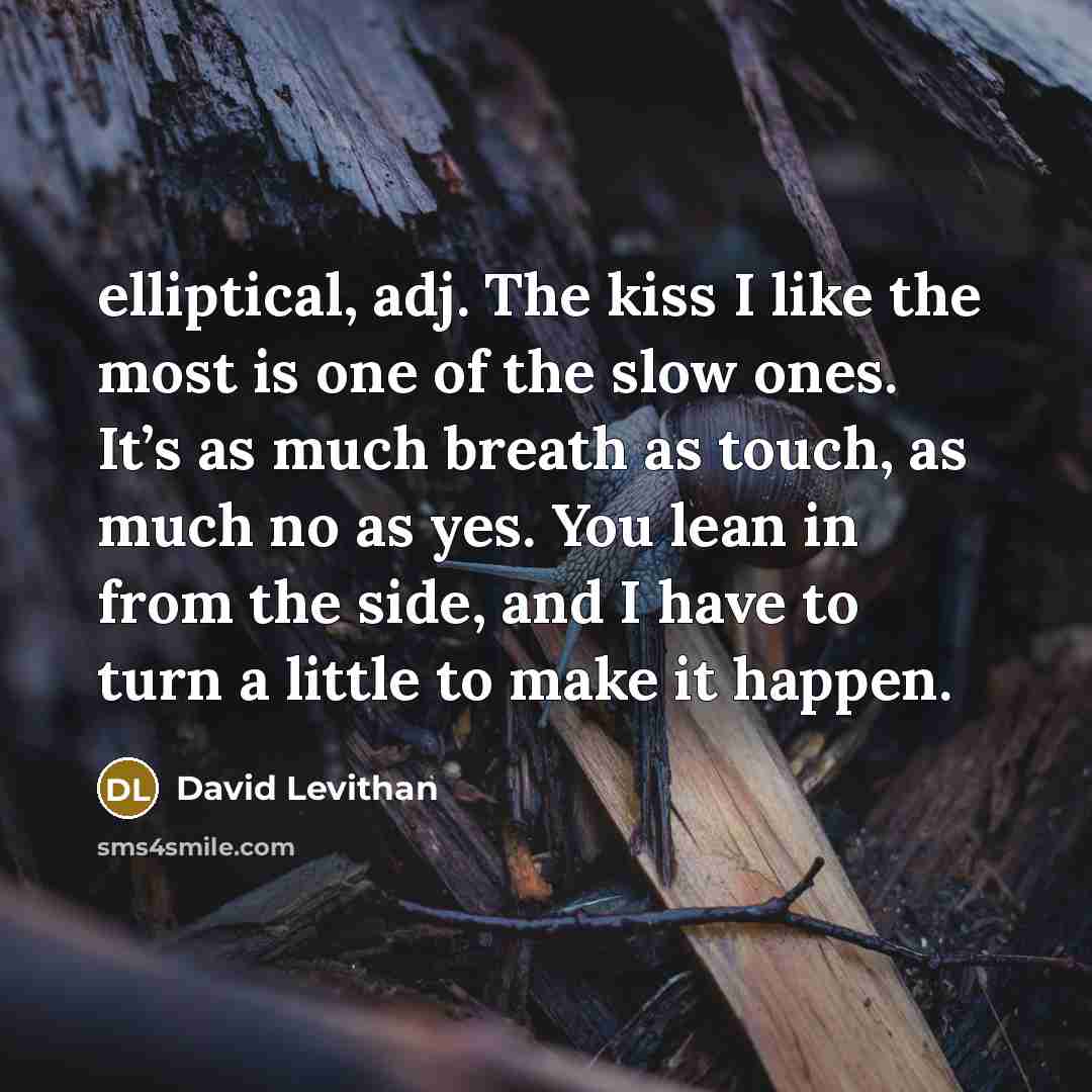 “elliptical, adj. The kiss I like the most is one…” quote by David Levithan
