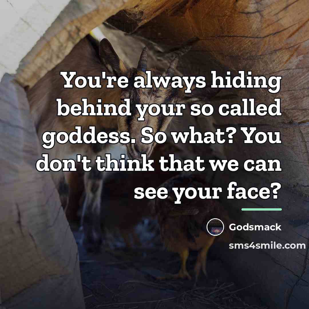 “You're always hiding behind your so called goddess. So what?…” quote by Godsmack