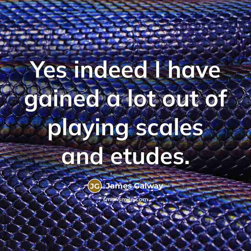 “Yes indeed I have gained a lot out of playing scales and etudes.” quote by James Galway