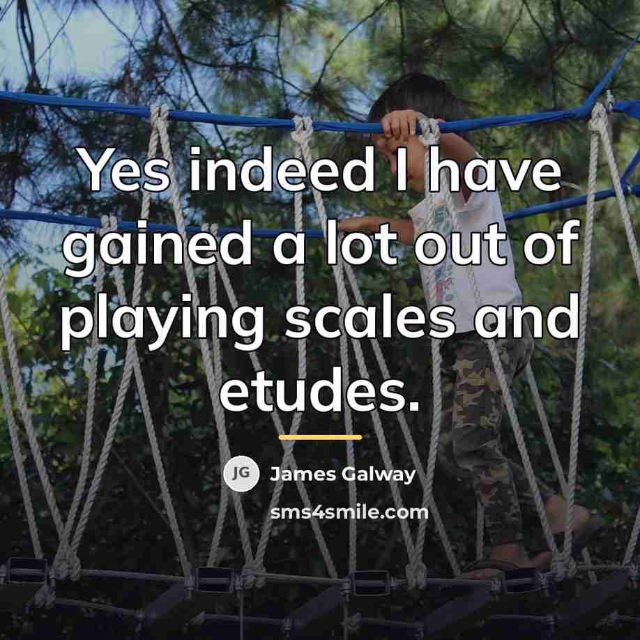 “Yes indeed I have gained a lot out of playing…” quote by James Galway