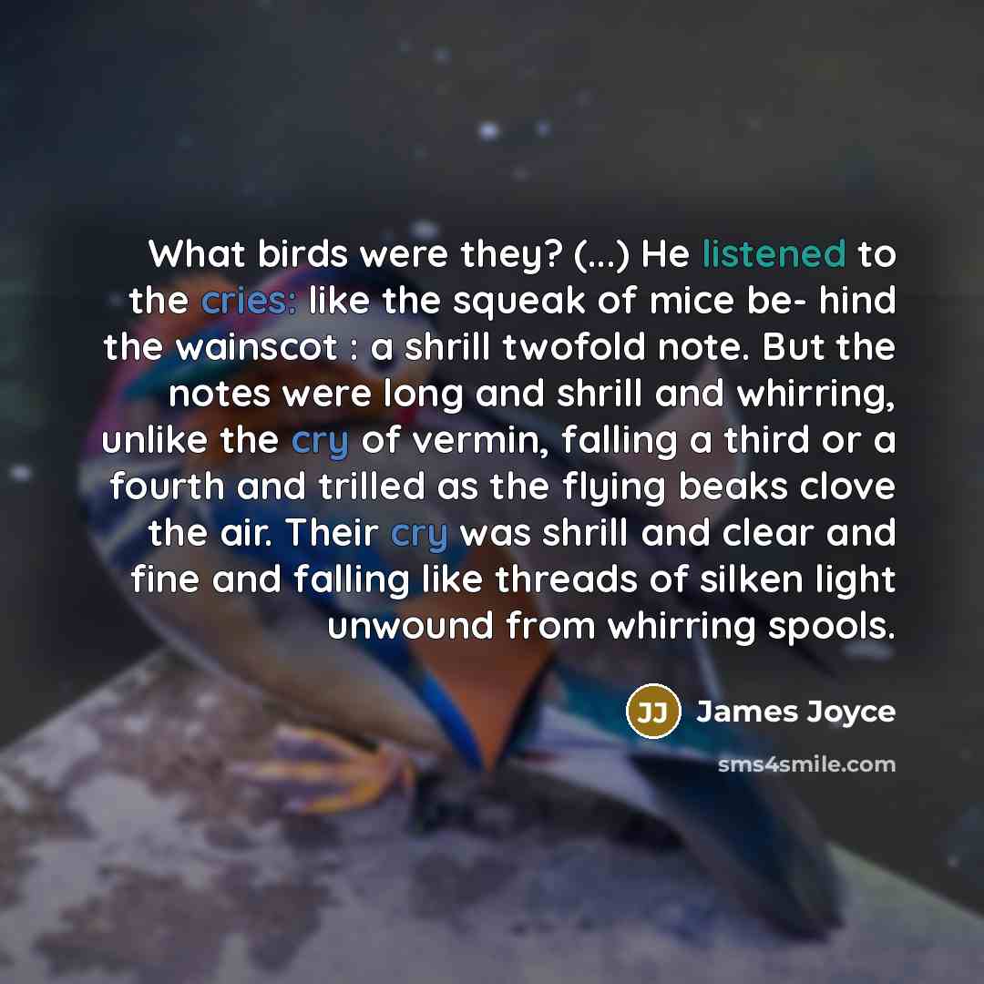 “What birds were they? (...) He listened to the cries:…” quote by James Joyce
