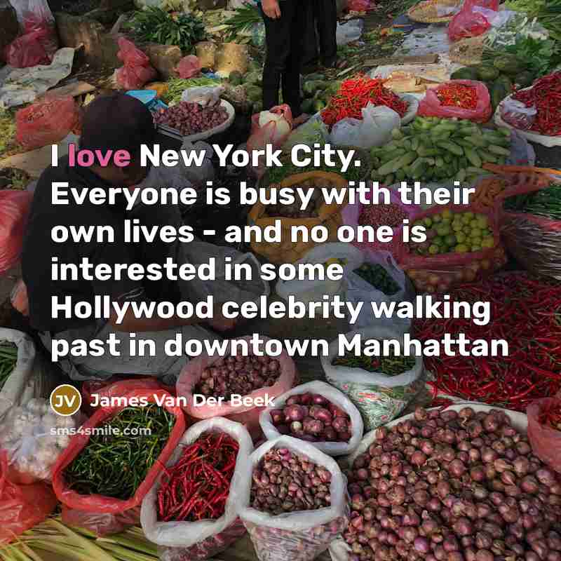 “I love New York City. Everyone is busy with their…” quote by James Van Der Beek
