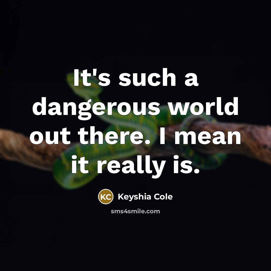 “It's such a dangerous world out there. I mean it…” quote by Keyshia Cole