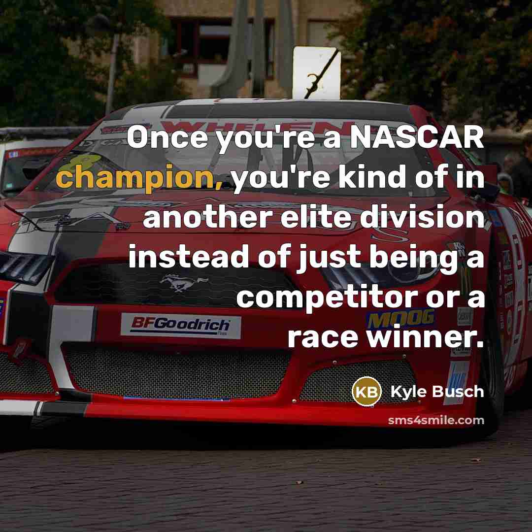 “Once you're a NASCAR champion, you're kind of in another…” quote by Kyle Busch