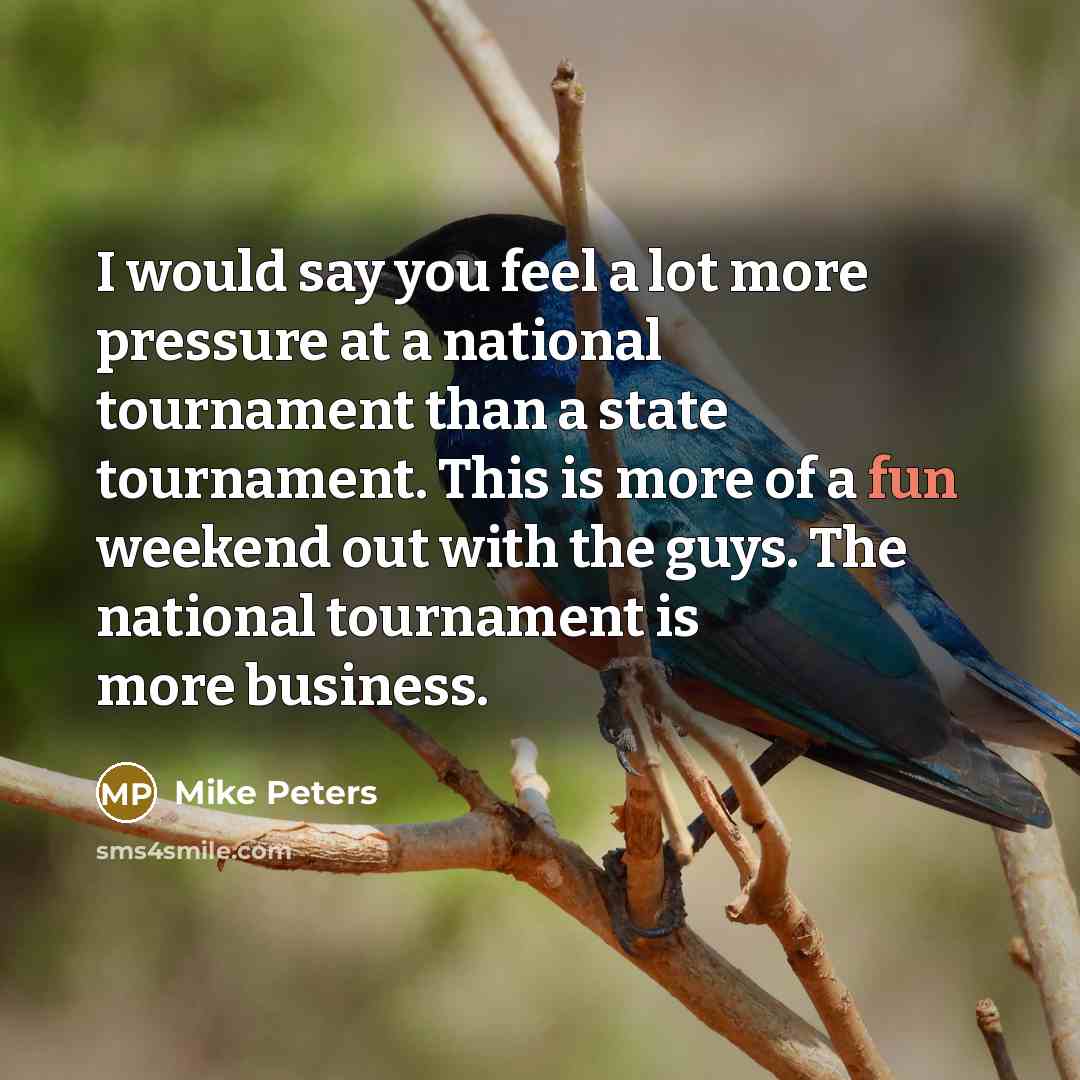 “I would say you feel a lot more pressure at…” quote by Mike Peters