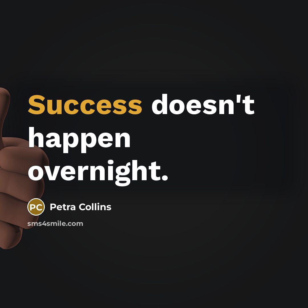 “Success doesn't happen overnight.…” quote by Petra Collins