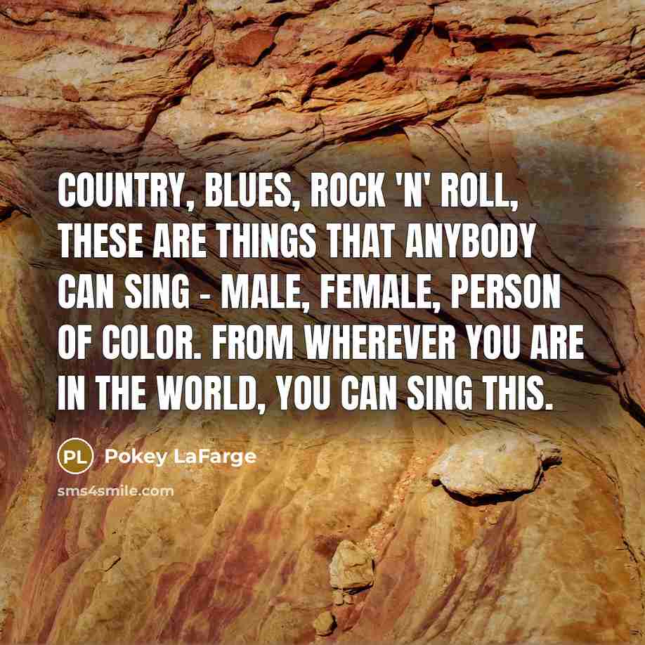 “Country, blues, rock 'n' roll, these are things that anybody…” quote by Pokey LaFarge