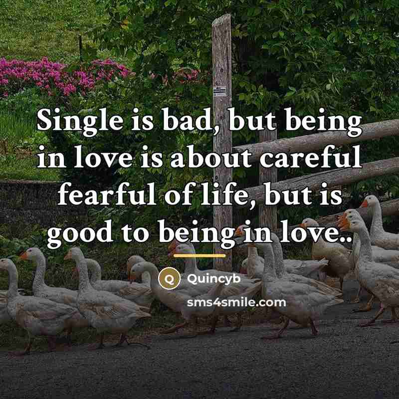 “Single is bad, but being in love is about careful…” quote by Quincyb