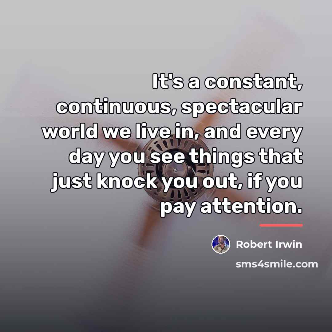 “It's a constant, continuous, spectacular world we live in, and…” quote by Robert Irwin