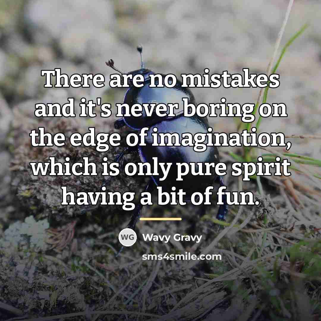 “There are no mistakes and it's never boring on the…” quote by Wavy Gravy