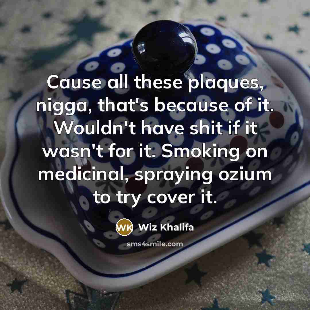 “Cause all these plaques, nigga, that's because of it. Wouldn't have shit if it wasn't for it. Smoking on medicinal, spraying ozium to try cover it.” quote by Wiz Khalifa