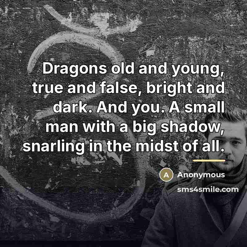 “Dragons old and young, true and false, bright and dark.…” quote by Anonymous