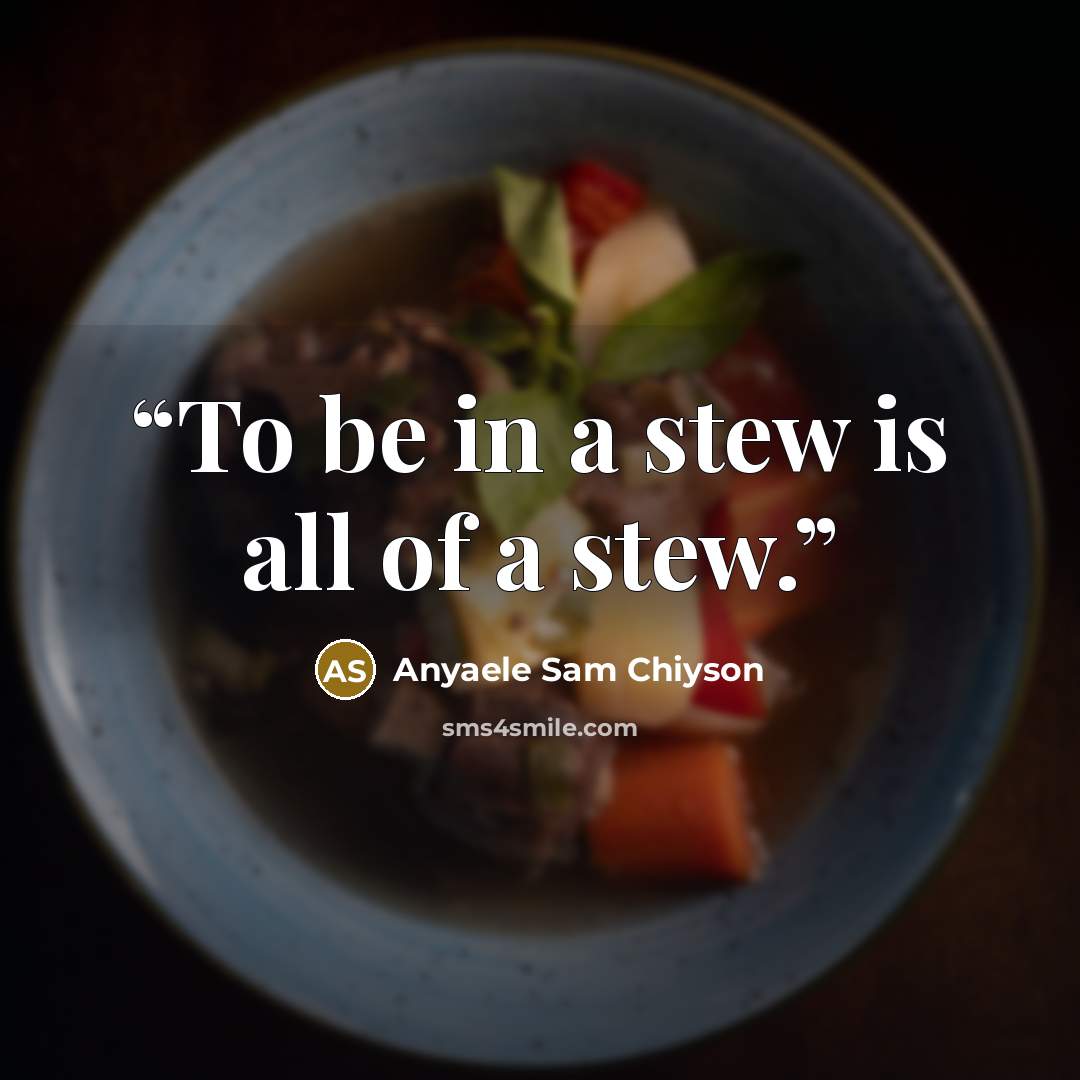 “To be in a stew is all of a stew.” quote by Anyaele Sam Chiyson