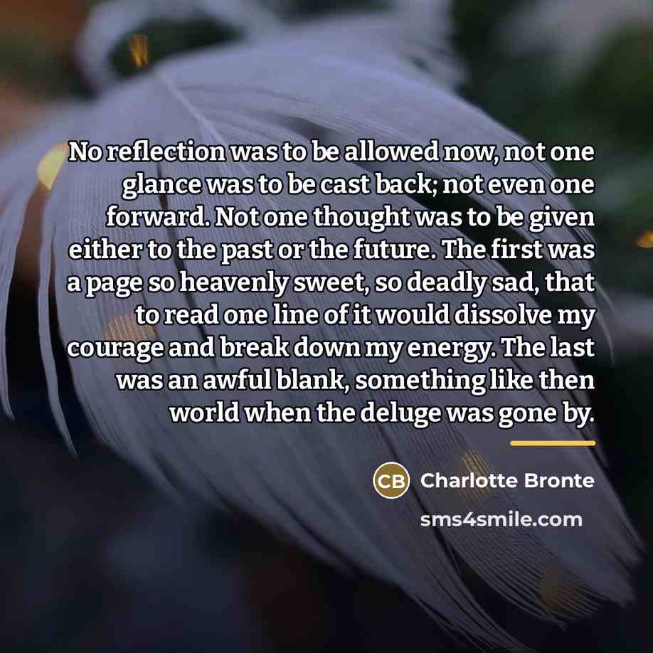 “No reflection was to be allowed now, not one glance…” quote by Charlotte Bronte