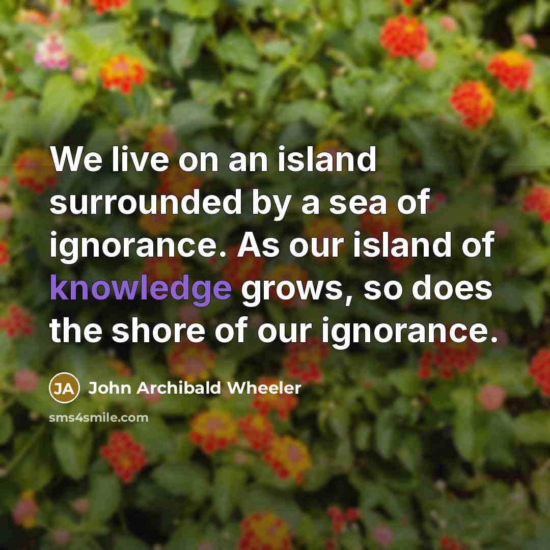 “We live on an island surrounded by a sea of…” quote by John Archibald Wheeler