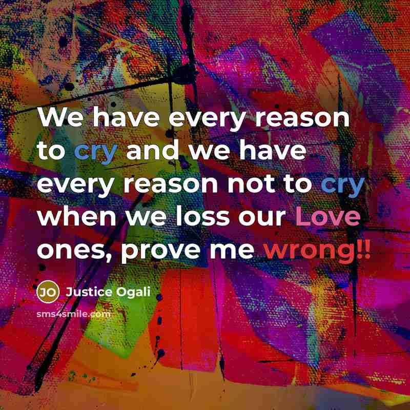 “We have every reason to cry and we have every…” quote by Justice Ogali