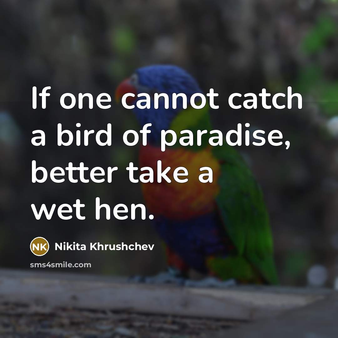 “If one cannot catch a bird of paradise, better take…” quote by Nikita Khrushchev