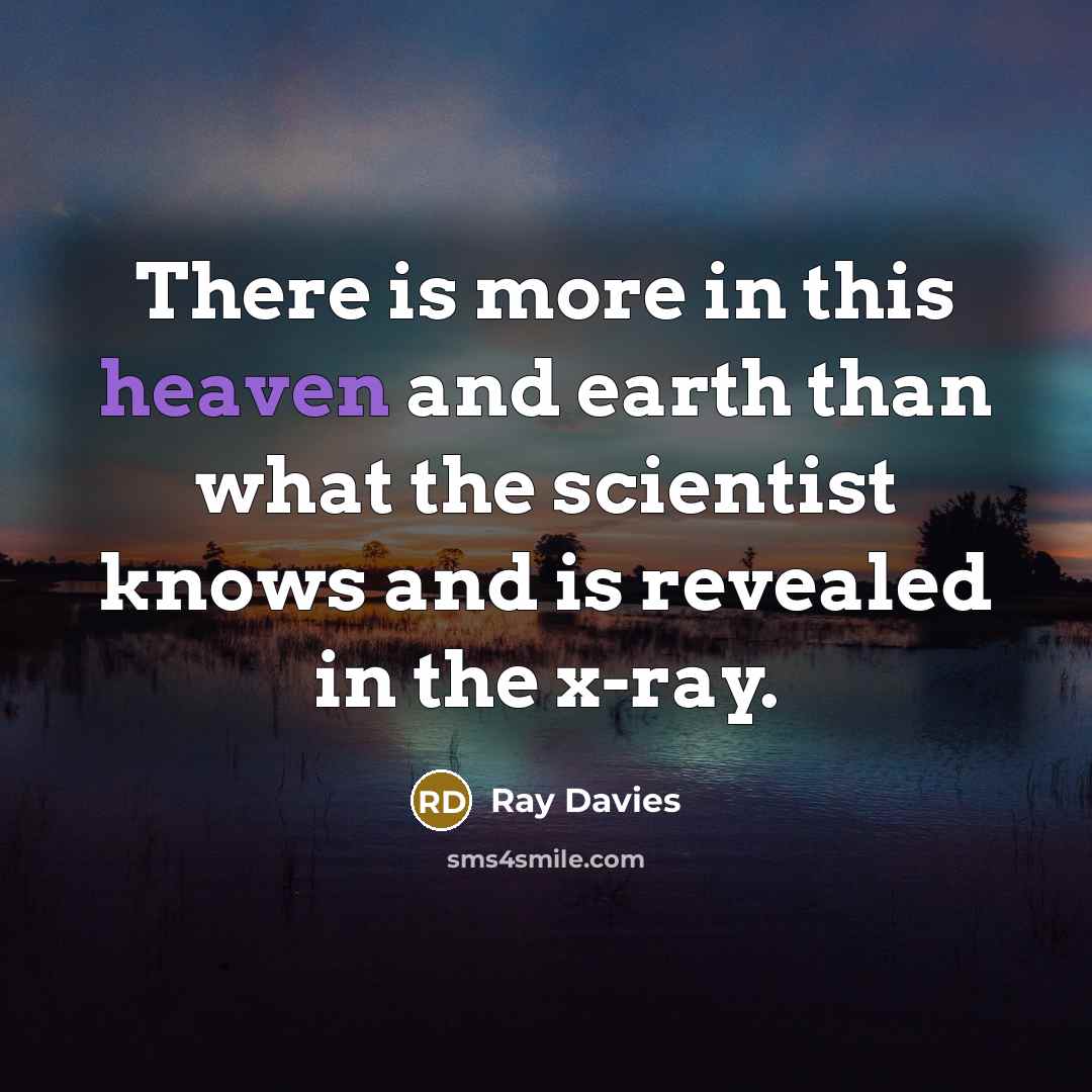 “There is more in this heaven and earth than what…” quote by Ray Davies