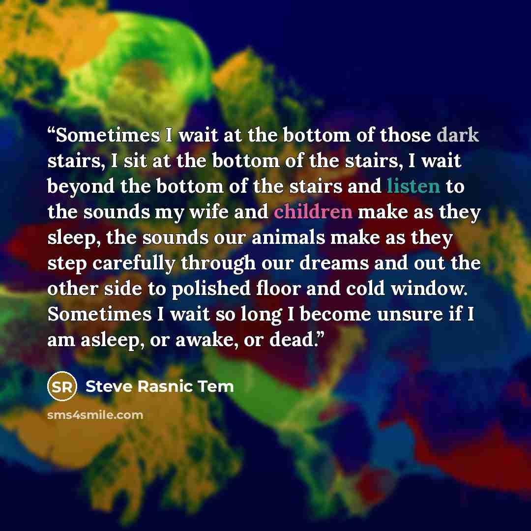 “Sometimes I wait at the bottom of those dark stairs, I sit at the bottom of the stairs, I wait beyond the bottom of the stairs and listen to the sounds my wife and children make as they sleep, the sounds our animals make as they step carefully through our dreams and out the other side to polished…” quote by Steve Rasnic Tem