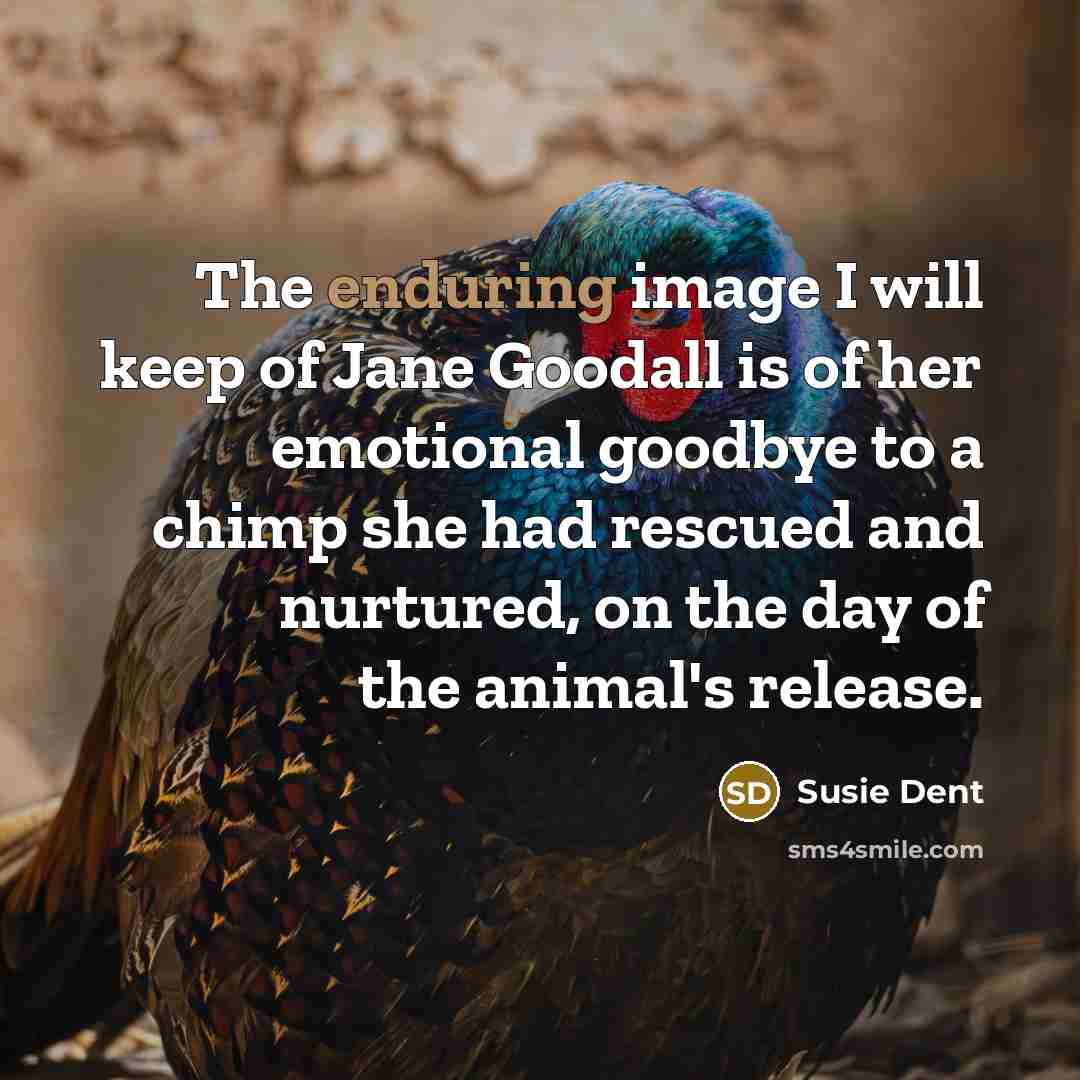 “The enduring image I will keep of Jane Goodall is…” quote by Susie Dent