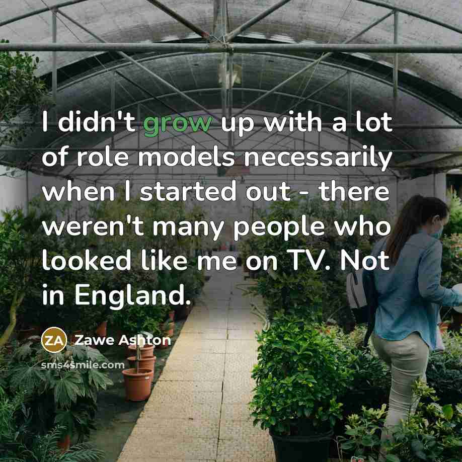 “I didn't grow up with a lot of role models…” quote by Zawe Ashton