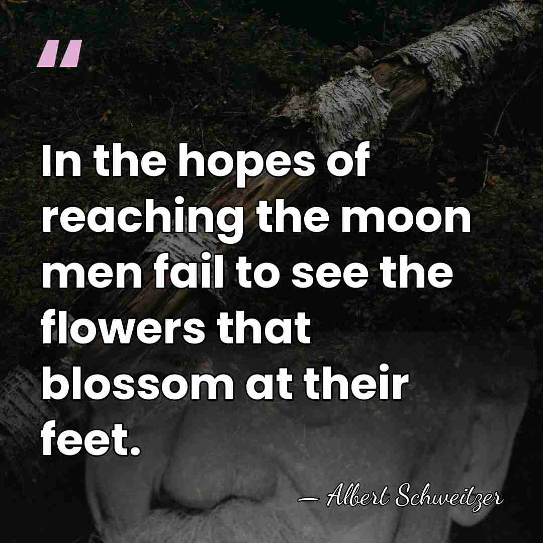 In the hopes of reaching the moon men fail to see the&hellip; - Albert Schweitzer