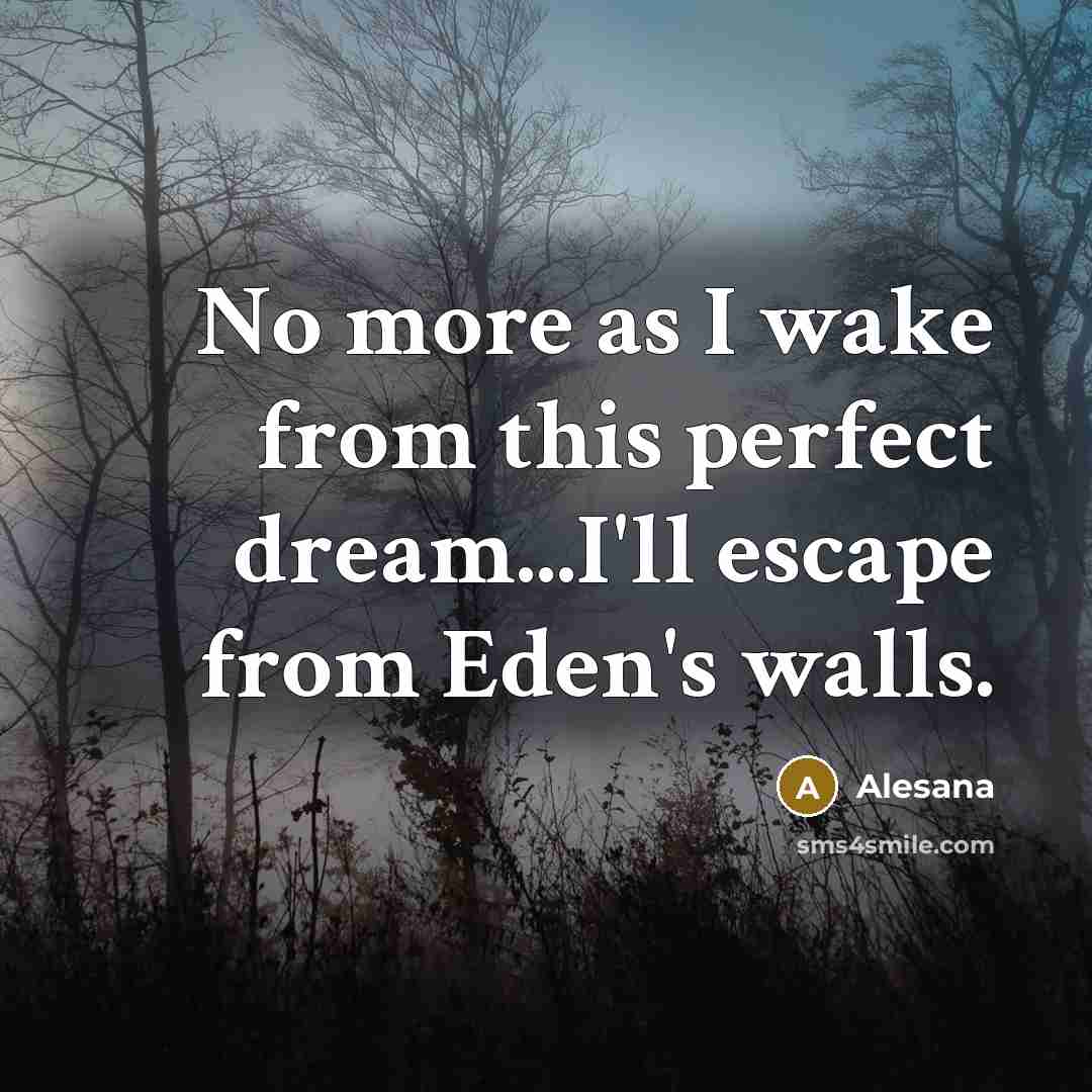 “No more as I wake from this perfect dream...I'll escape…” quote by Alesana