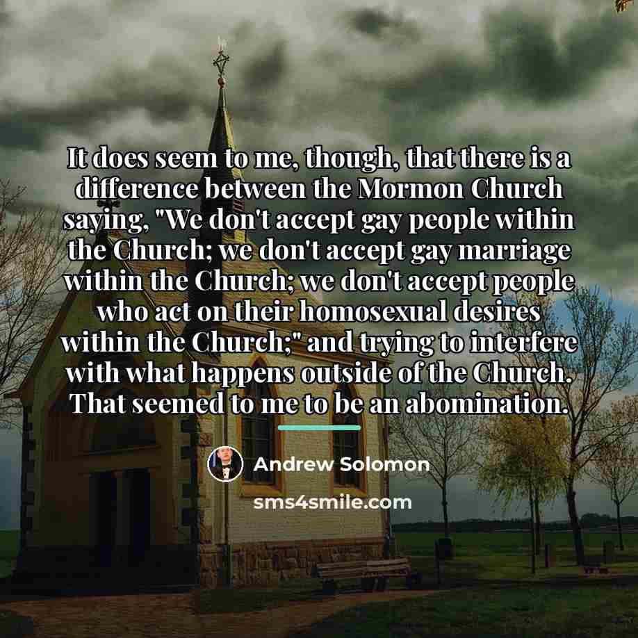 “It does seem to me, though, that there is a…” quote by Andrew Solomon