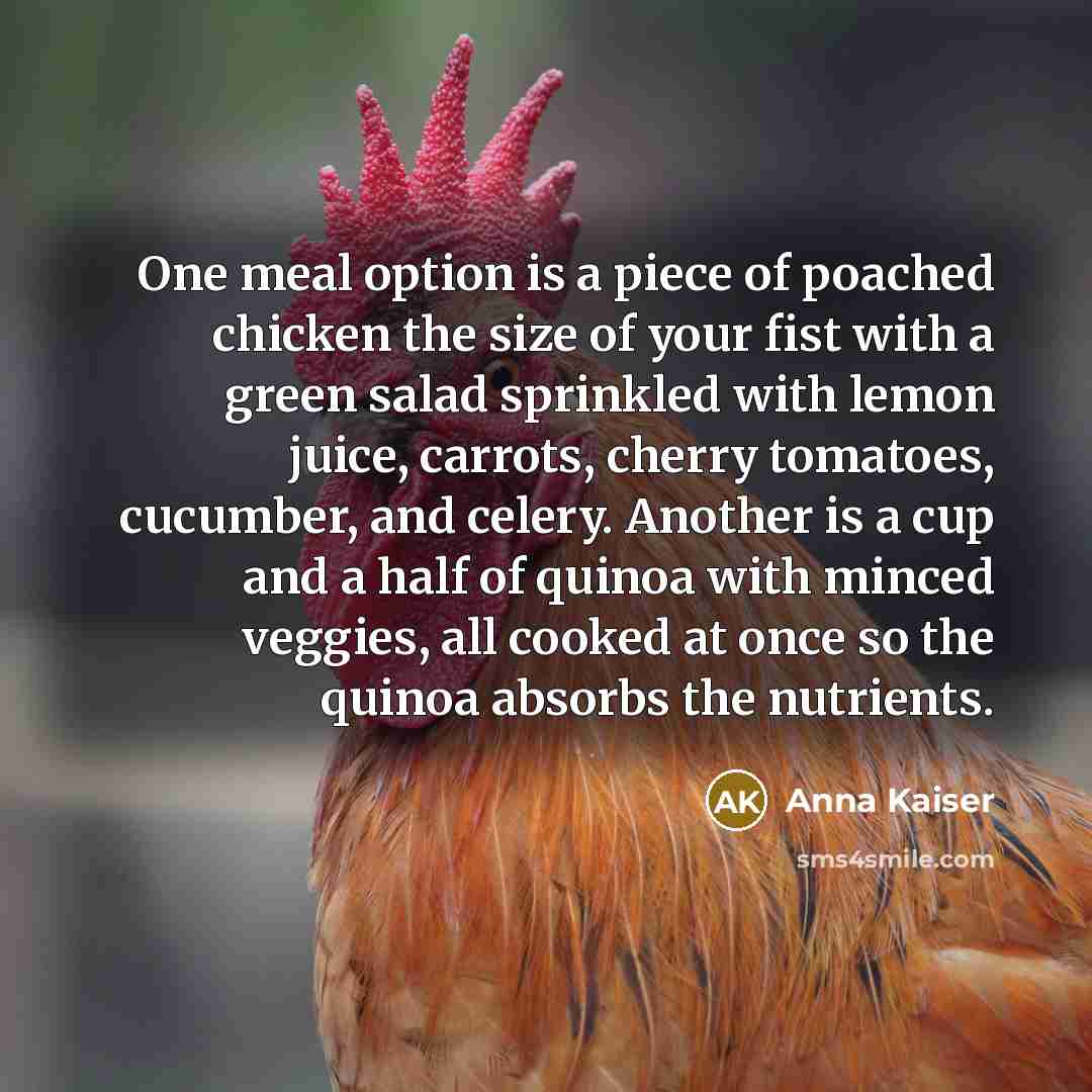 “One meal option is a piece of poached chicken the…” quote by Anna Kaiser