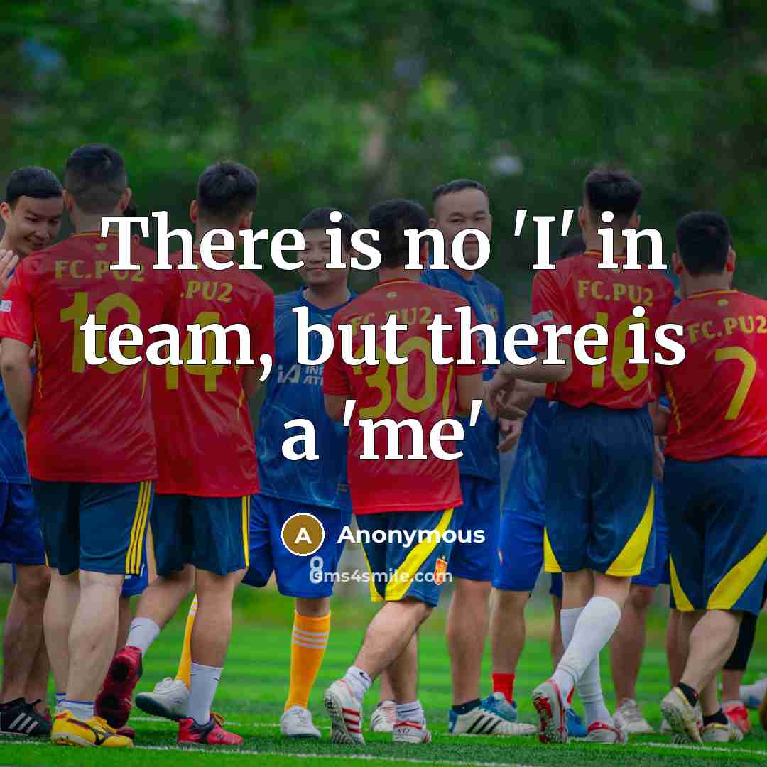 “There is no 'I' in team, but there is a…” quote by Anonymous