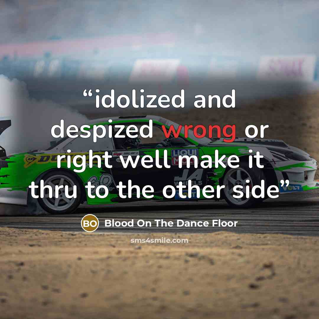 “idolized and despized wrong or right well make it thru to the other side” quote by blood on the dance floor