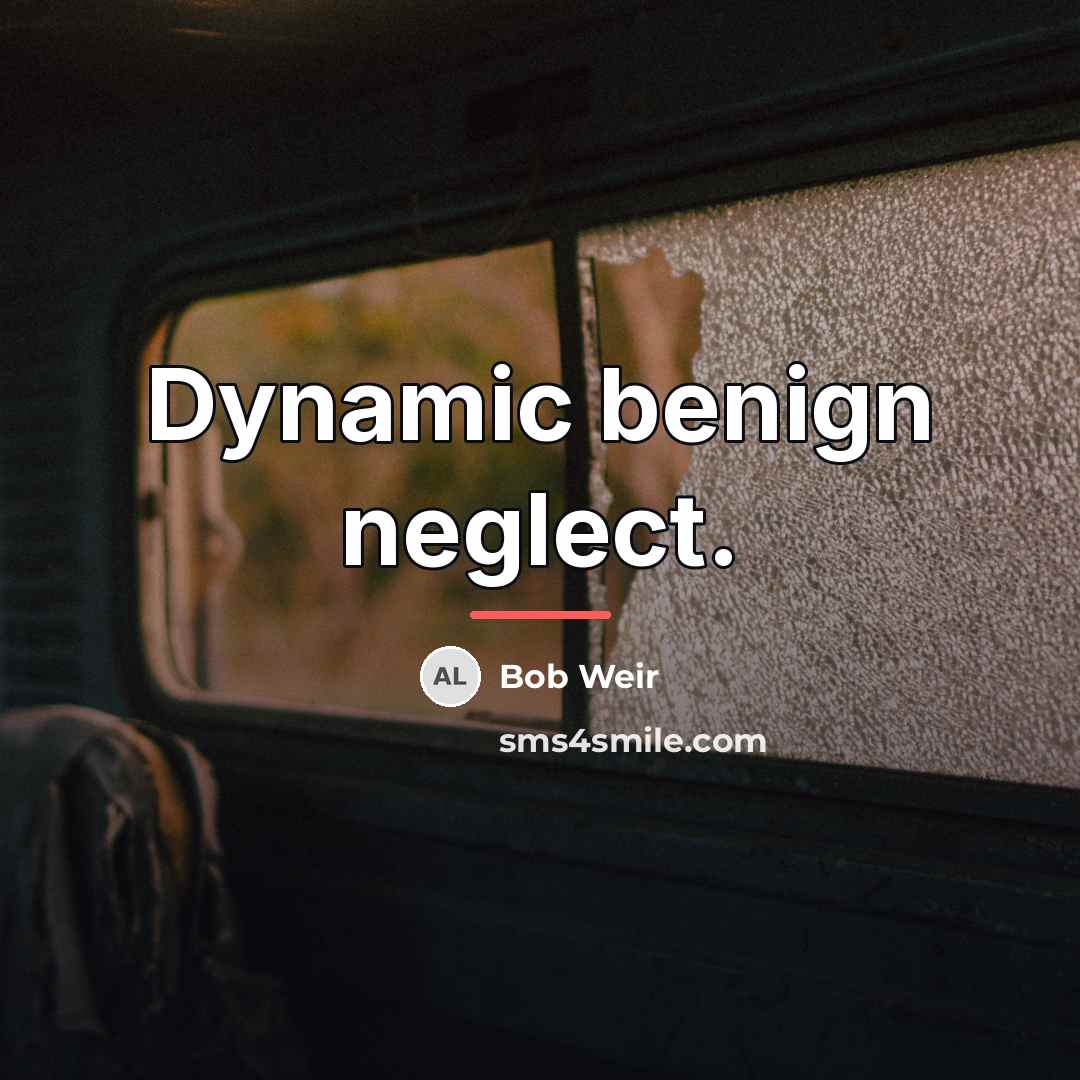 “Dynamic benign neglect.…” quote by Bob Weir