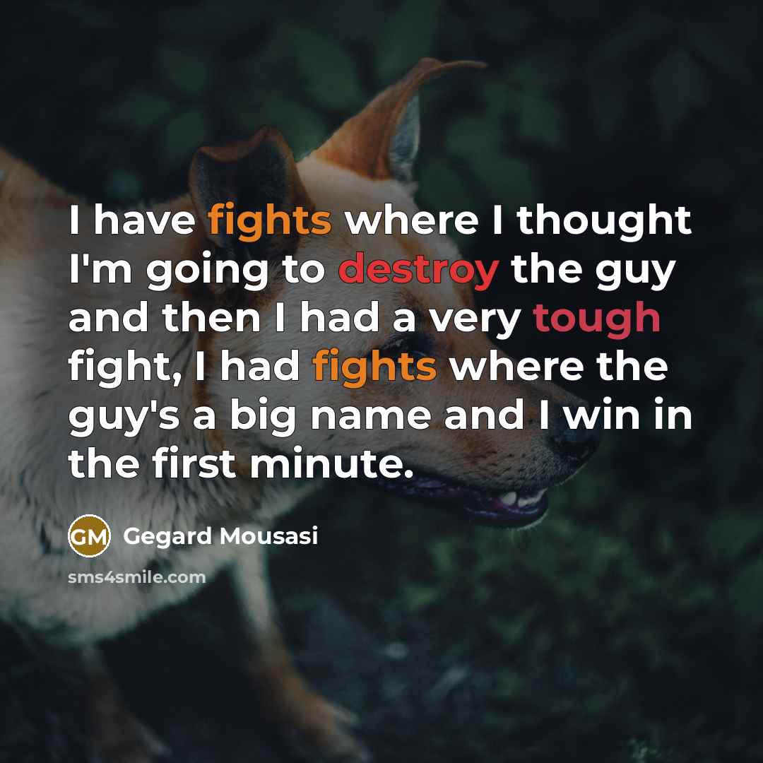“I have fights where I thought I'm going to destroy…” quote by Gegard Mousasi
