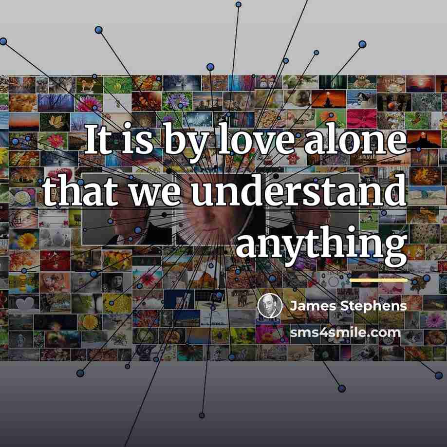 “It is by love alone that we understand anything…” quote by James Stephens
