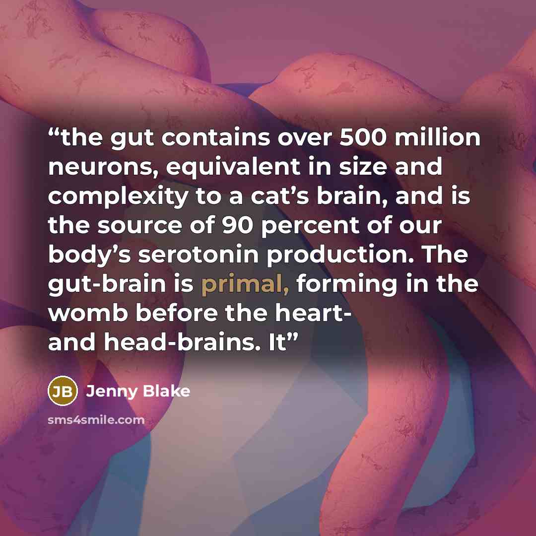 “the gut contains over 500 million neurons, equivalent in size and complexity to a cat’s brain, and is the source of 90 percent of our body’s serotonin production. The gut-brain is primal, forming in the womb before the heart- and head-brains. It” quote by Jenny Blake