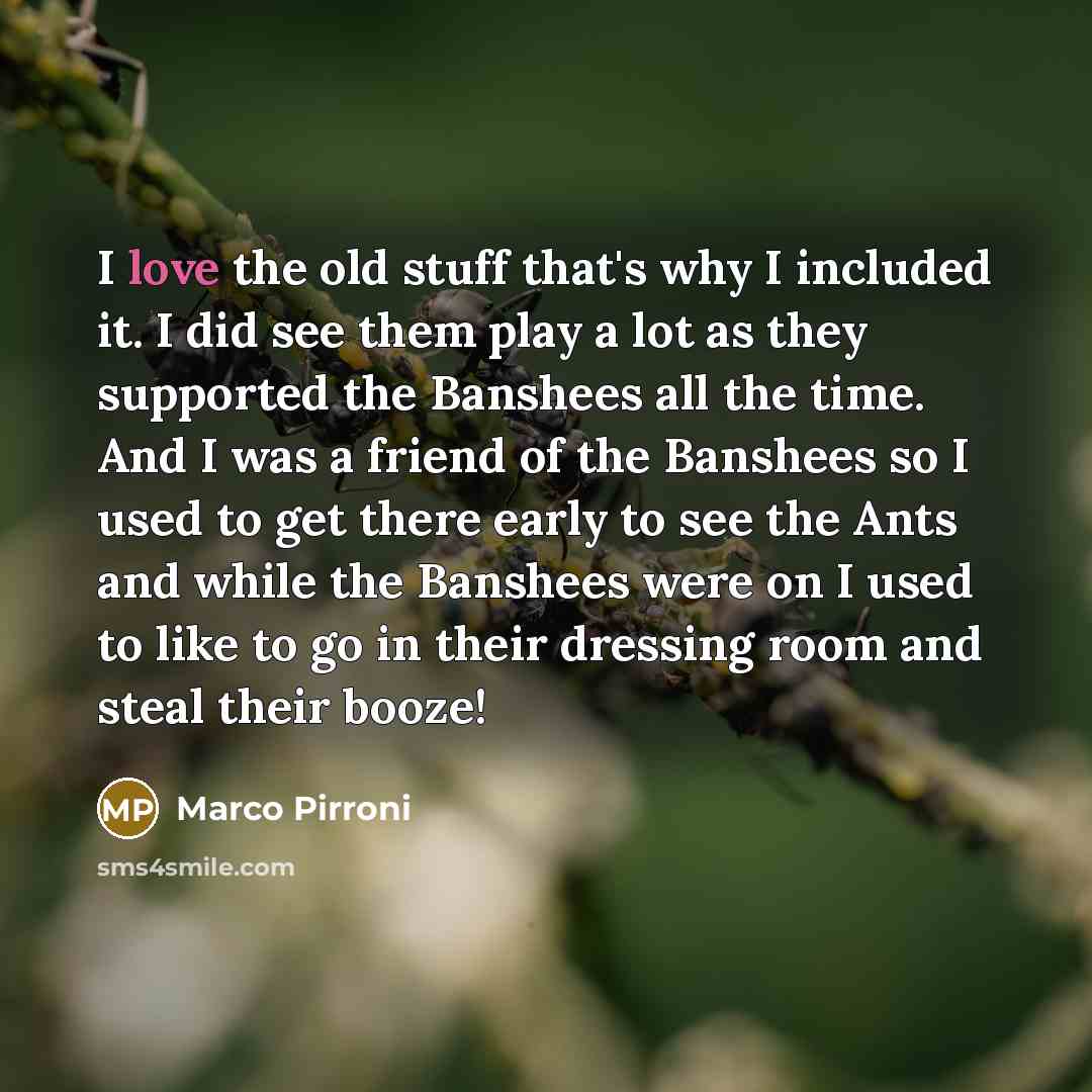 “I love the old stuff that's why I included it.…” quote by Marco Pirroni