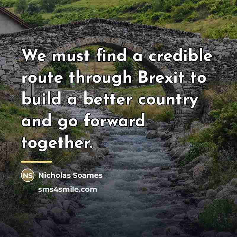 “We must find a credible route through Brexit to build…” quote by Nicholas Soames