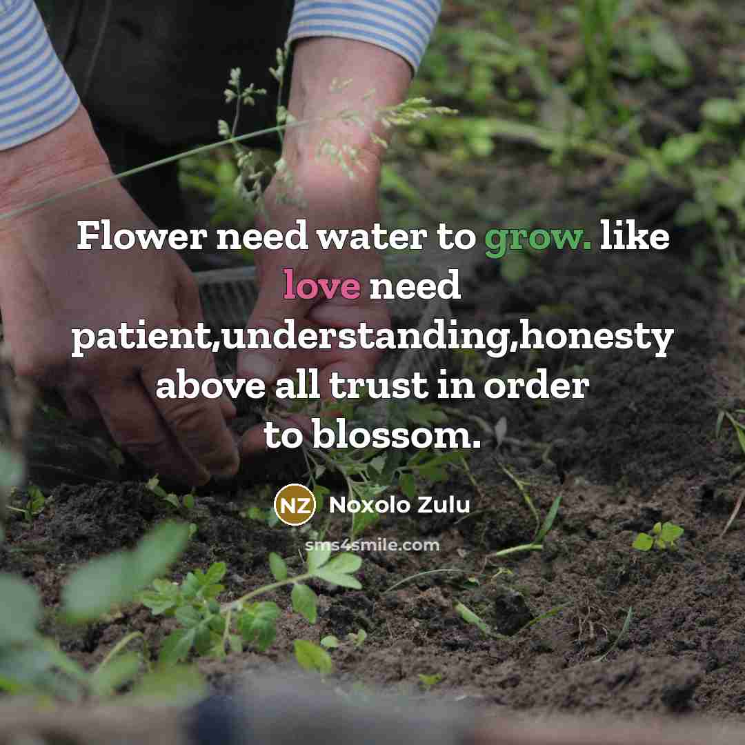 “Flower need water to grow. like love need patient,understanding,honesty above…” quote by Noxolo Zulu