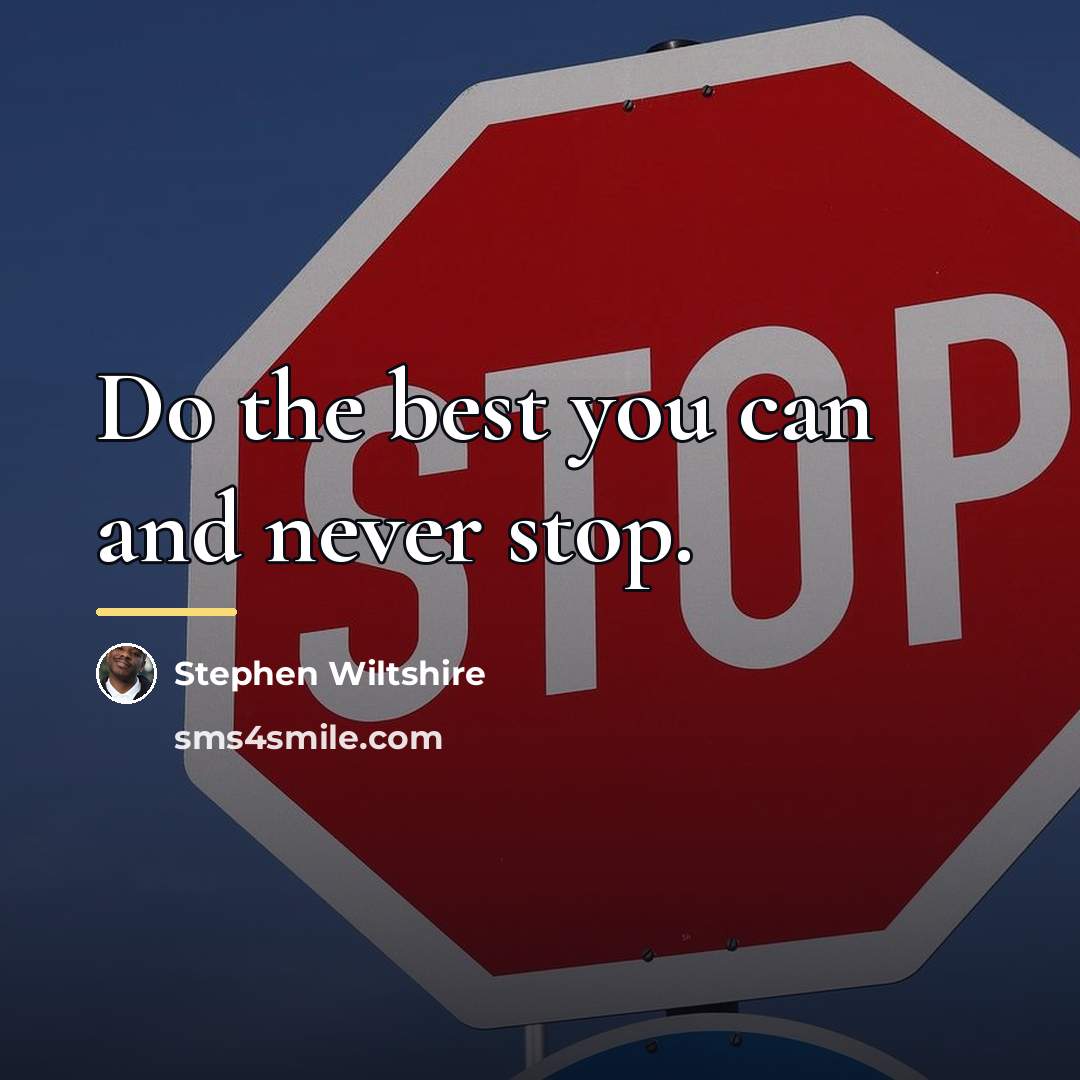 “Do the best you can and never stop.…” quote by Stephen Wiltshire