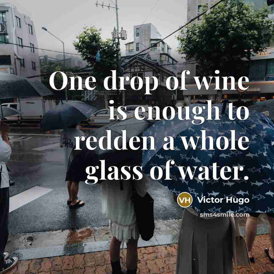 “One drop of wine is enough to redden a whole…” quote by Victor Hugo