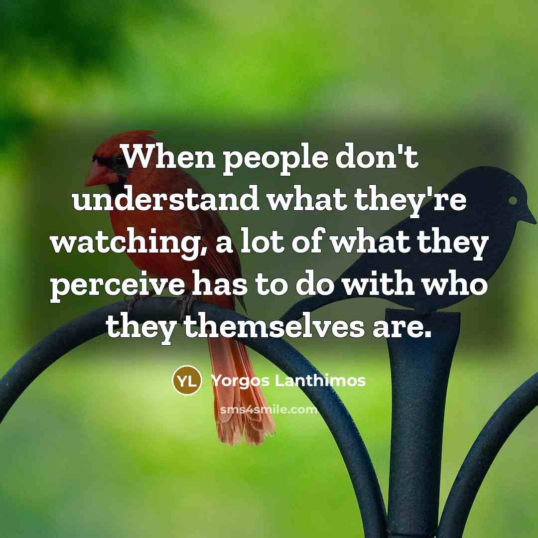 “When people don't understand what they're watching, a lot of…” quote by Yorgos Lanthimos