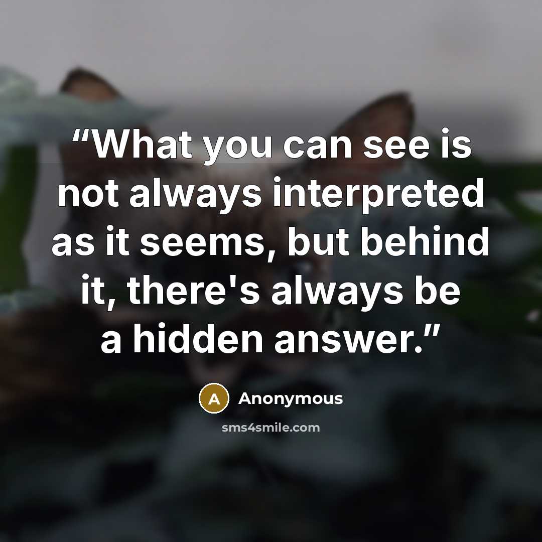“What you can see is not always interpreted as it seems, but behind it, there's always be a hidden answer.” quote by Anonymous
