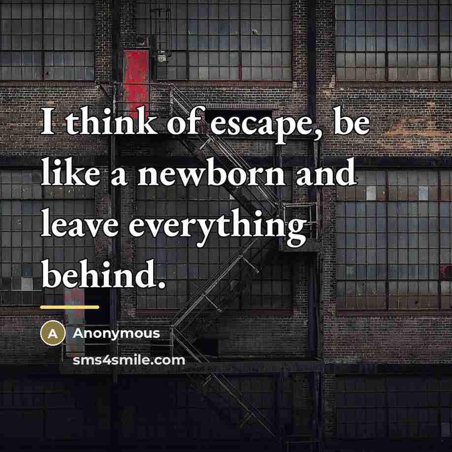 “I think of escape, be like a newborn and leave…” quote by Anonymous
