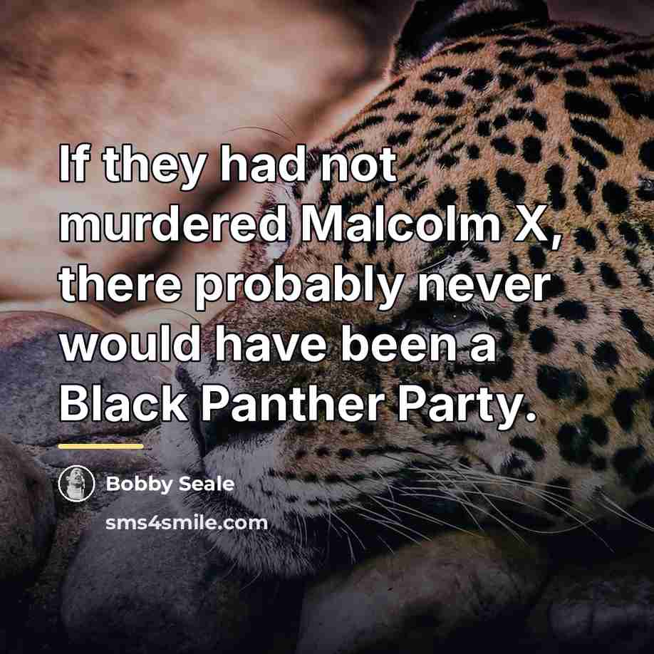 “If they had not murdered Malcolm X, there probably never…” quote by Bobby Seale