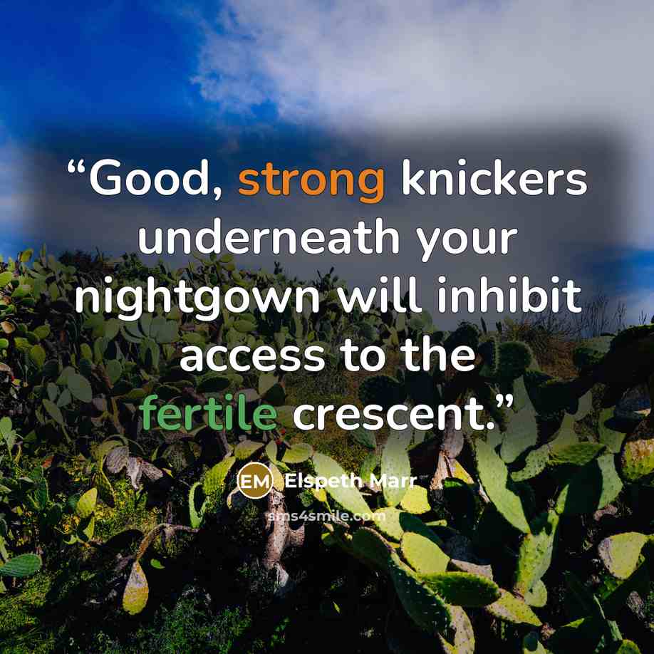 “Good, strong knickers underneath your nightgown will inhibit access to the fertile crescent.” quote by Elspeth Marr