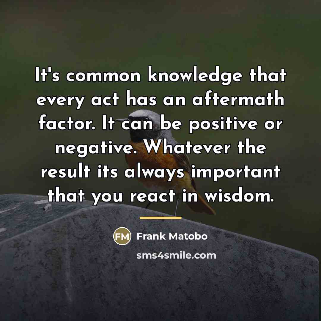 “It's common knowledge that every act has an aftermath factor.…” quote by Frank Matobo