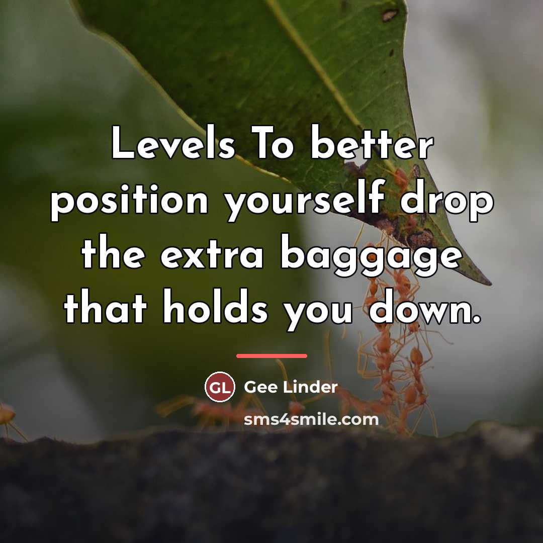 “Levels To better position yourself drop the extra baggage that…” quote by Gee Linder