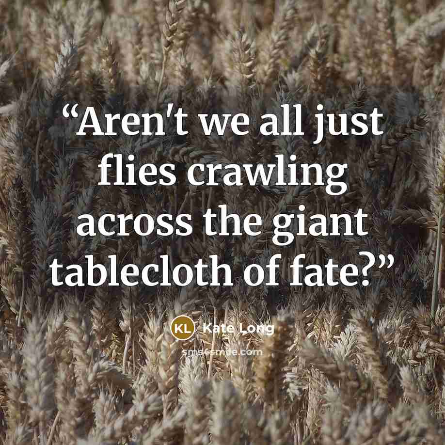 “Aren't we all just flies crawling across the giant tablecloth of fate?” quote by Kate Long