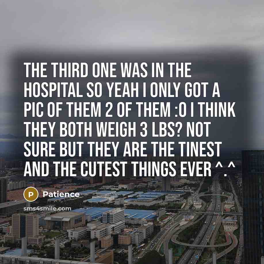 “The third one was in the hospital so yeah I only got a pic of them 2 of them :o I think they both weigh 3 lbs? not sure but they are the tinest and the cutest things ever ^.^” quote by Patience