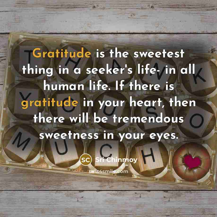 “Gratitude is the sweetest thing in a seeker's life- in…” quote by Sri Chinmoy